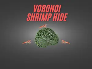 voronoi shrimp hide