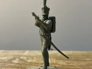 The Line Infantryman - Napoleonic Musketeer