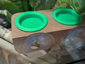 Gecko Feeding Ledge with Cups