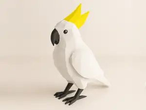Parrot