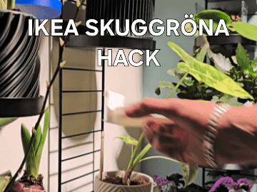 Modular Plant Wall System | IKEA SKUGGRÖNA Hack