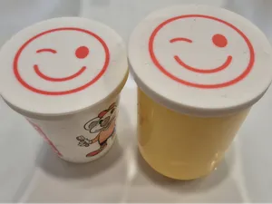 Couvercle protège poussiere verres