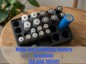 Multi-Size Battery Organizer with Storage