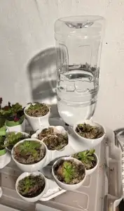 可堆叠自动补水花盆-水苔柱