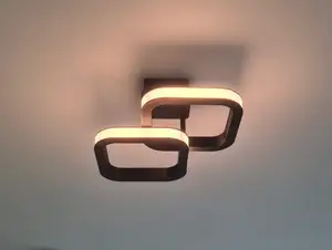 Dual LED ceiling hang lamp
