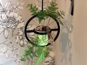 Hanging Plant Pot, Plant Hanger