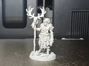 DND Wolf Shaman