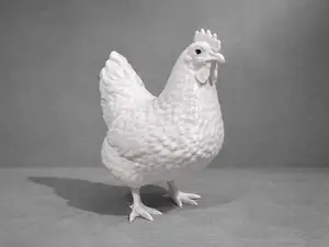 Hen - Chicken - Animal