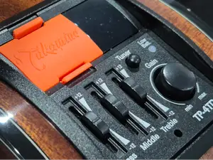Takamine Acoustic Guitar TP-4TD Battery cover