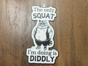 Fat Cat Keychain - Only Squat I'm doing is diddly