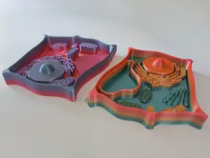 Plant Cell Model