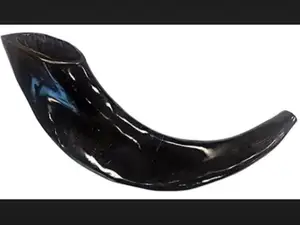 shofar david