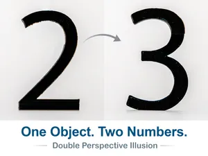 Number 23 Optical Illusion (10-99 available)