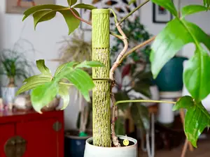 Modular moss poles with matching reservoir
