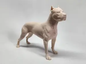 Pitbull dog