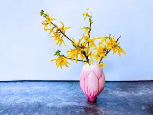 Magnolia flower vase