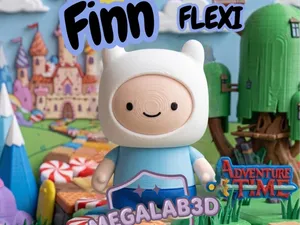 FINN FLEXI IS HERE