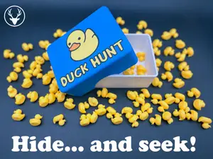 Duck Hunt Game – Hide & Seek!