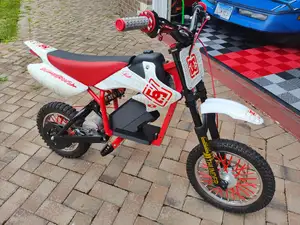 Razor MX650 Silverfish battery 75100 pro v2 VESC