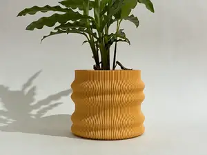 Wave Ribs