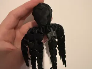 Goroctopus