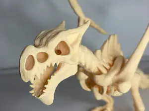 Skeleton Aerodactyl