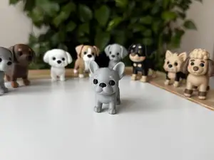 French Bulldog puppy