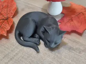 Chat noir endormi tout mignon
