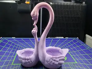 Two Swan Hearts