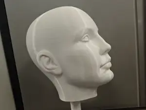 Life-Size Wig Stand – 54cm Head Circumference