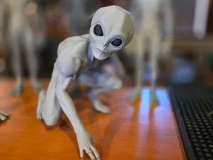 THEM 1947 Disclosure Alien Greys – THE STALKER