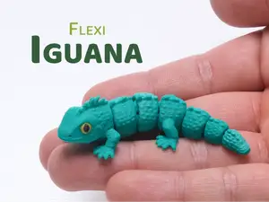 Flexible Iguana