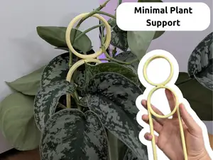 21cm Minimalist Plant Support Trellis