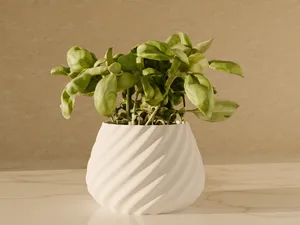 Small Vase with Smooth Curves