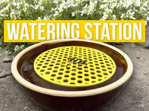 Honeycomb Bee & Insect Watering Station