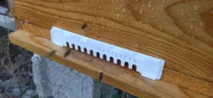 Beehive entrance reducer