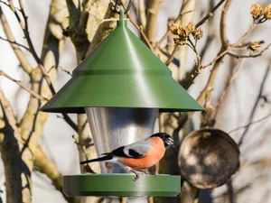Vogelfutterhäuschen