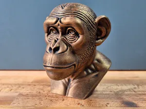 Chimpanzee Bust model