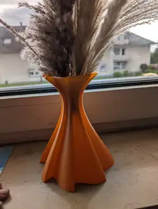 Vase Starlike
