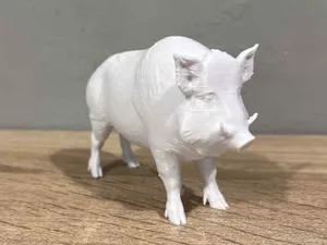 Wild boar - Animal
