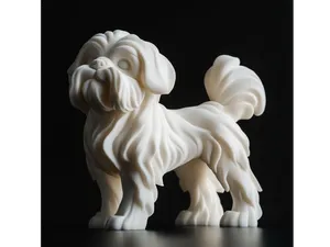 Lhasa Apso dog