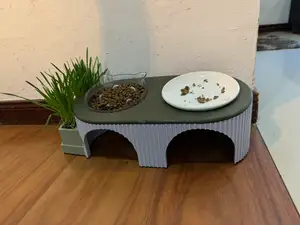 Double Pet Feeder (Bowls Not Included)
