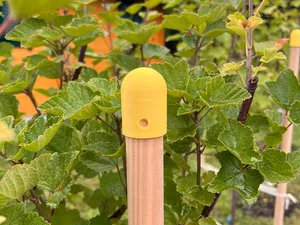 Pfastenkappe für 30mm Durchmesser