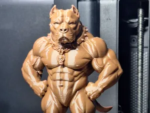 Pitbull Gym Bodybuilder