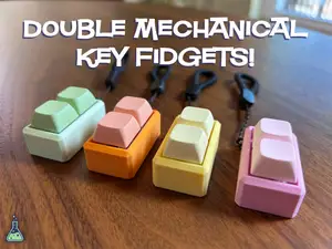 Double Key Switch Fidget Lanyard