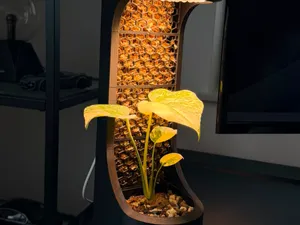 ClimbLight Plant Station