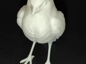 Magpie / realistic bird print