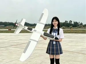 掷矛手x140 FPV载机（乌克兰大黄蜂无人机的缩比航模）