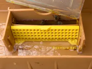 Feeder Ladder for Apimaye two-piece feeders