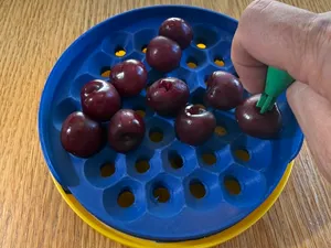 Cherry pitter
